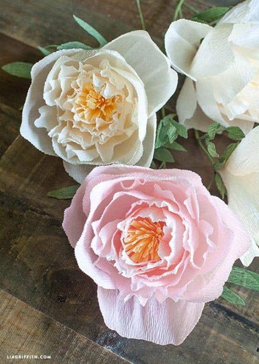 Crepe Paper Peonies - Lia Griffith