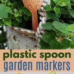 plastic spoon garden markers pin image