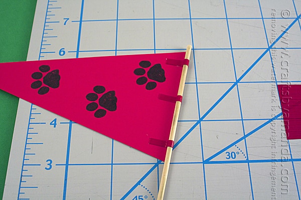 paw prints on flag