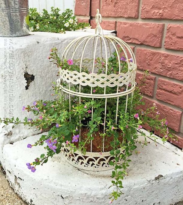 Bird Cage Flower Planter by Amanda Formaro, Crafts by Amanda