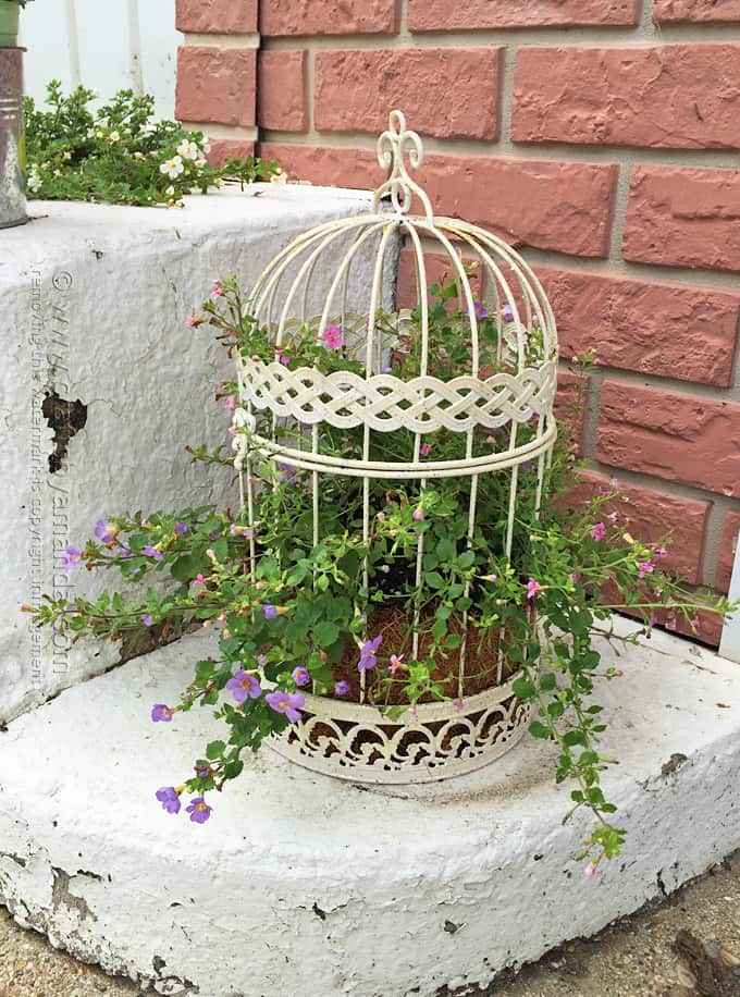 Bird Cage Flower Planter by Amanda Formaro, Crafts by Amanda