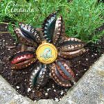 How to Make an adorable and rustic Bottle Cap Flower by Amanda Formaro, Crafts by Amanda
