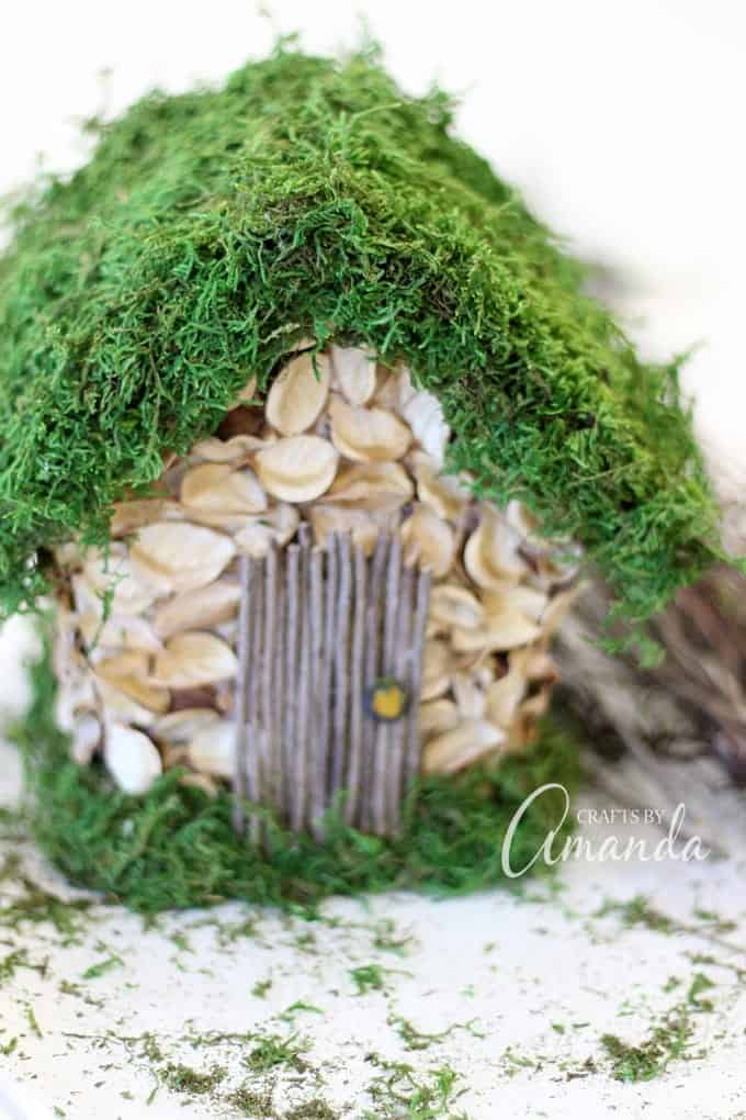 moss covered birdhouse