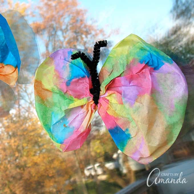 coffee filter butterfly closeup on window