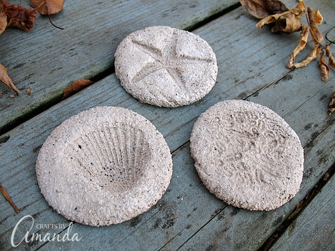 Coffee Ground Fossils using seashells, starfish, and anemones 