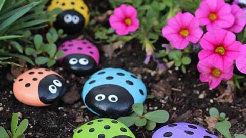 Learn to make these adorable ladybug painted rocks. use special outdoor paint for this adorable garden craft so you can keep garden ladybugs all summer!