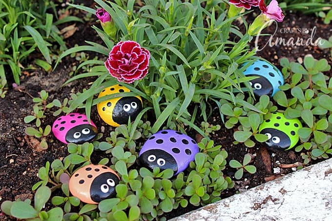 Rocks painted to look like ladybugs in garden