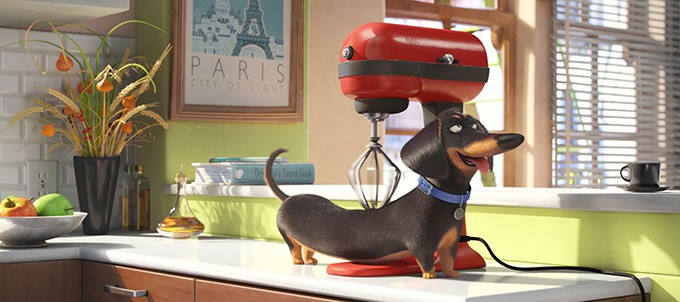 Secret Life of Pets: a Movie Night, a Dog Biscuit Recipe…plus, we