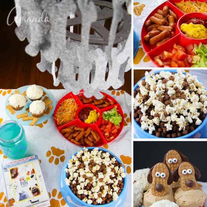 The Secret Life of Pets movie night party