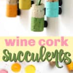 wine cork succulent magnets pin image