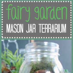 Fairy Garden Mason Jar Terrarium