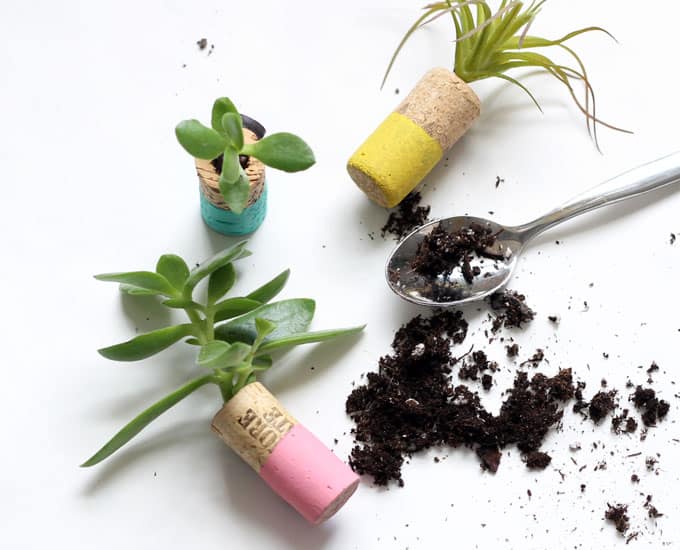 adding soil to succulent planter magnets