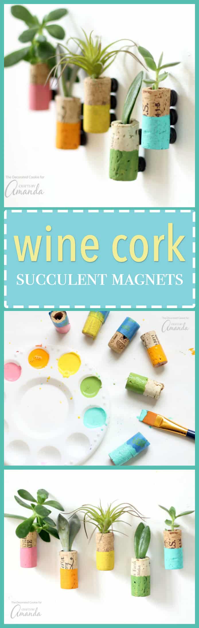 Wine Cork Succulent bright and cheery pops of colors for your
