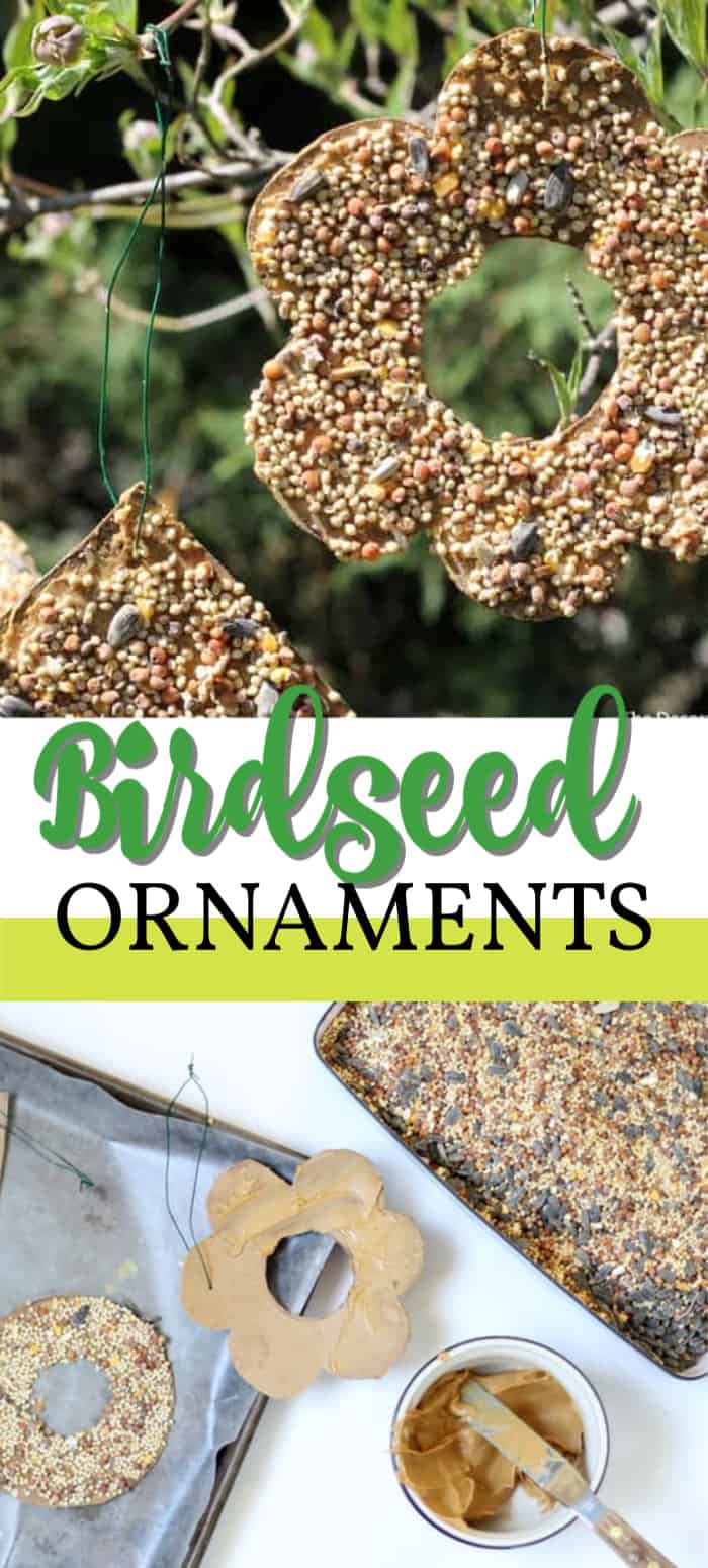 Bird Seed Ornaments a fun and simple kidfriendly and birdfriendly craft.