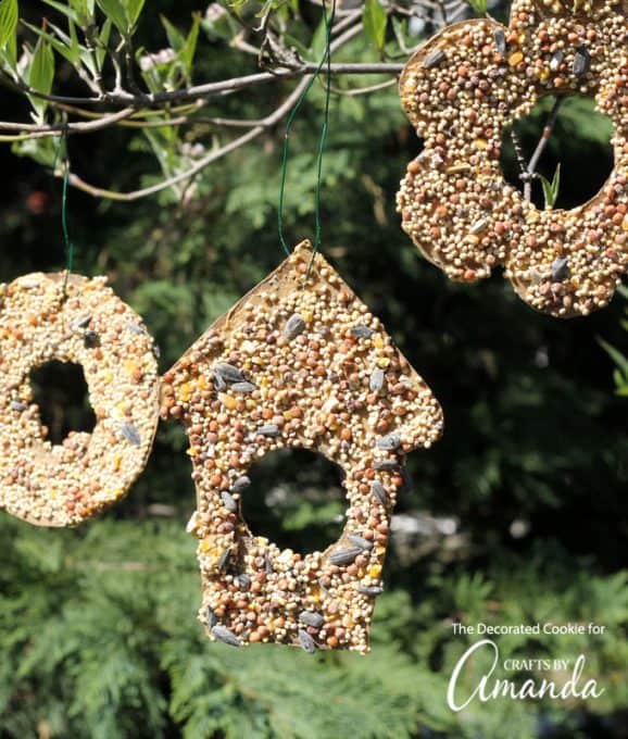 Bird Seed Ornaments - Crafts by Amanda - Nature Crafts for Kids