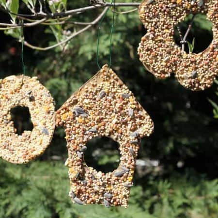 Bird Seed Ornaments: a fun and simple kid-friendly and bird-friendly craft.