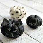 These black cat pumpkins are the perfect Halloween project for cat lovers! Learn how to make these easy no carve chalkboard painted pumpkins.