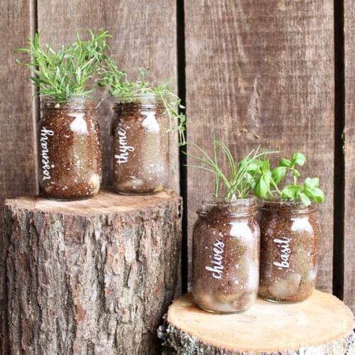 Add this mason jar herb garden to your home for spring!