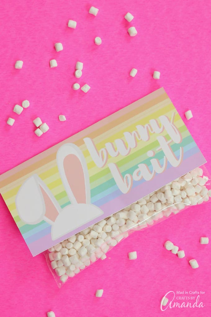 Bunny Bait Printable: produce straightforward bunny bait handle baggage for graphic regarding Bunny Bait Printable identify Bunny Bait Printable: generate very simple bunny bait take care of baggage for