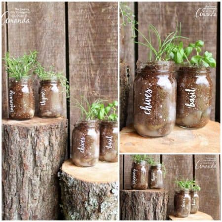 Mason Jar Herb Garden: grow herbs in a jar - Crafts by Amanda