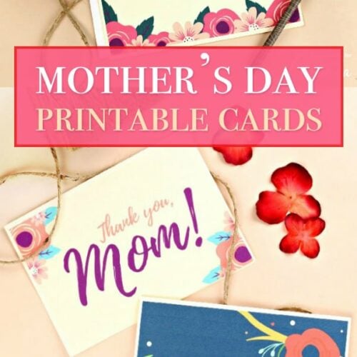 P26 PAPYRUS MOTHERS DAY CARD NIP PAPER FLOWERS CARD MSRP $6.95 