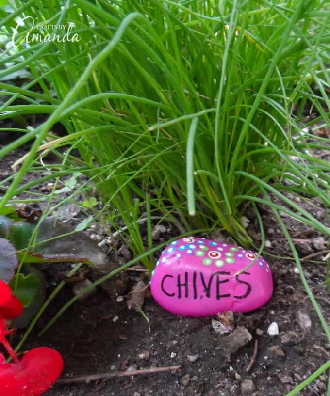 Painted Rock Garden Markers- Chives