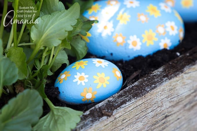 Daisy Painted Rocks