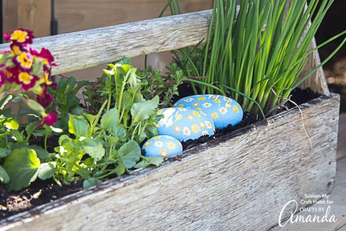 Daisy Painted Rocks in planter box