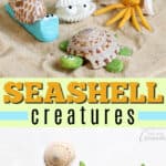 seashell creatures pin image
