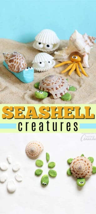 Sea Shell Creatures: an easy and adorable beach craft!