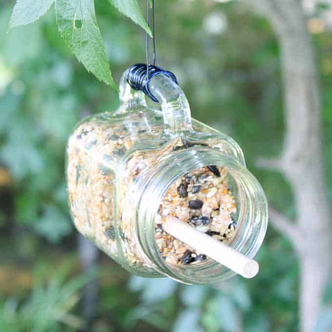 Make this mason jar bird feeder with a suet cake! An easy project that the birds will love!