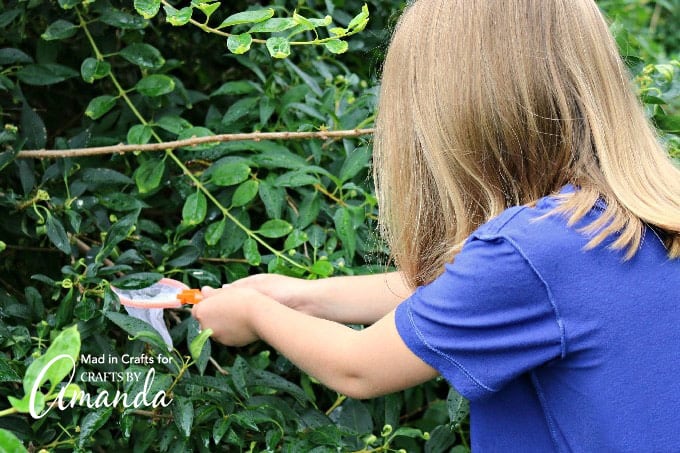 girl catching bug in scavenger hunt