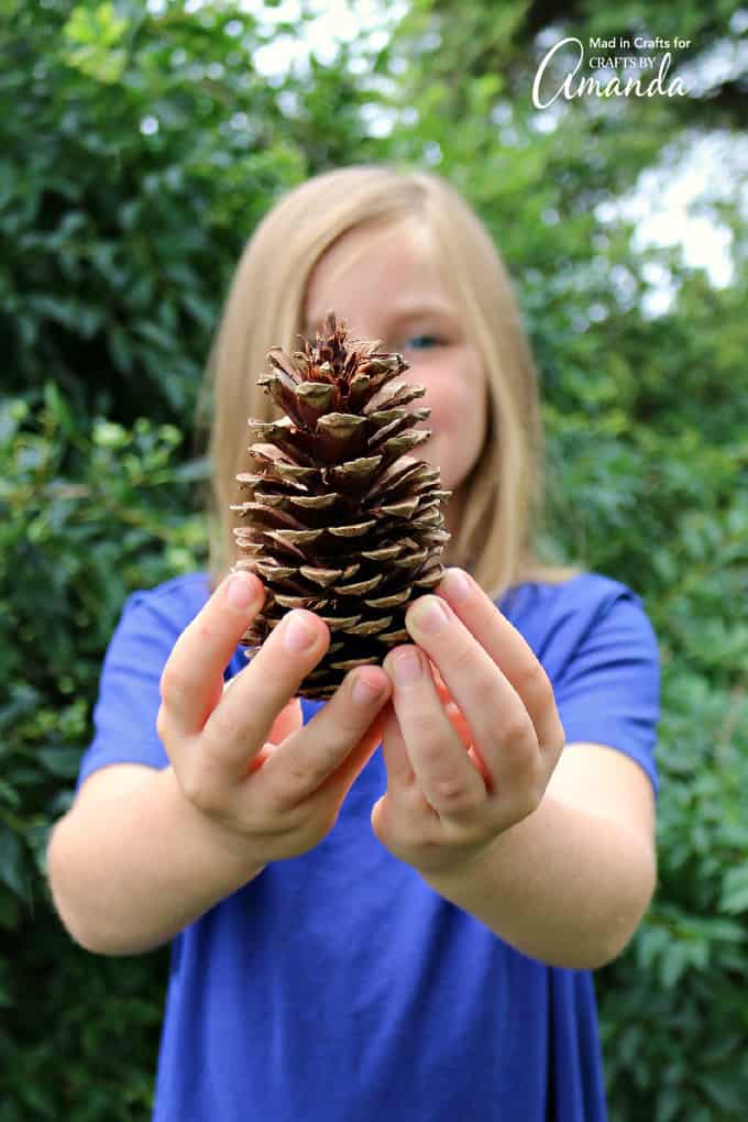 girl holding pine cone she found in scavenger hunt