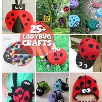 ladybug crafts