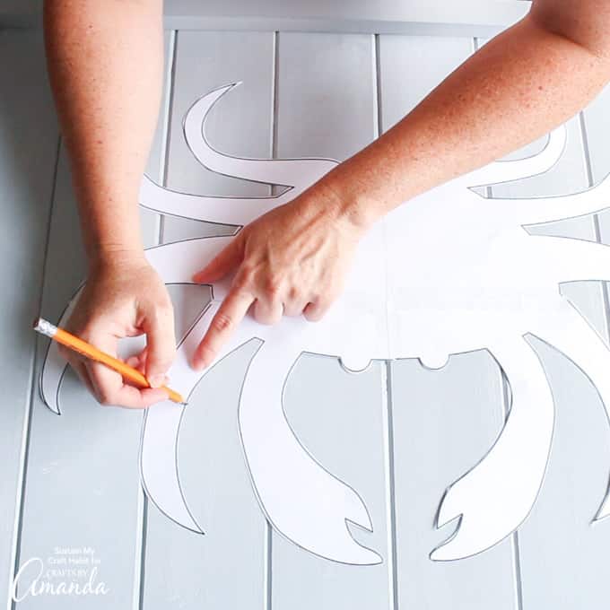 Drawing a line around the template of driftwood crab