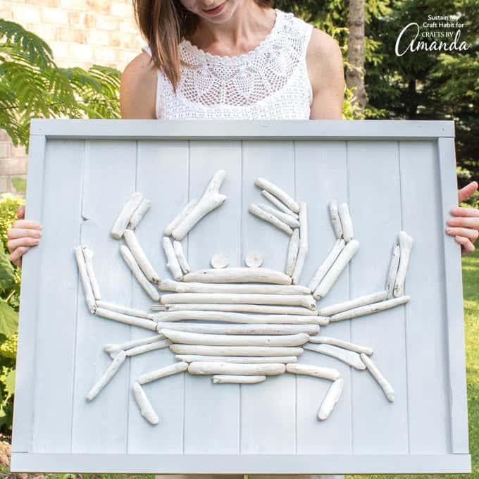 driftwood crab wall decor