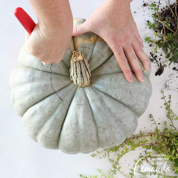 First, carve your pumpkin
