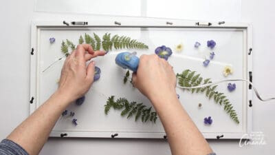 Pressed Flower Art - how to press flowers - Crafts by Amanda