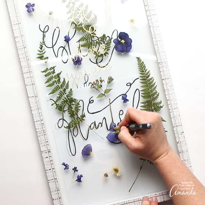 Pressed Flower Art - how to press flowers - Crafts by Amanda