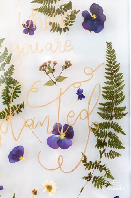 Pressed Flower Art - how to press flowers - Crafts by Amanda