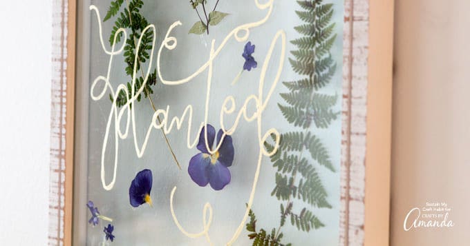 Pressed Flower Art