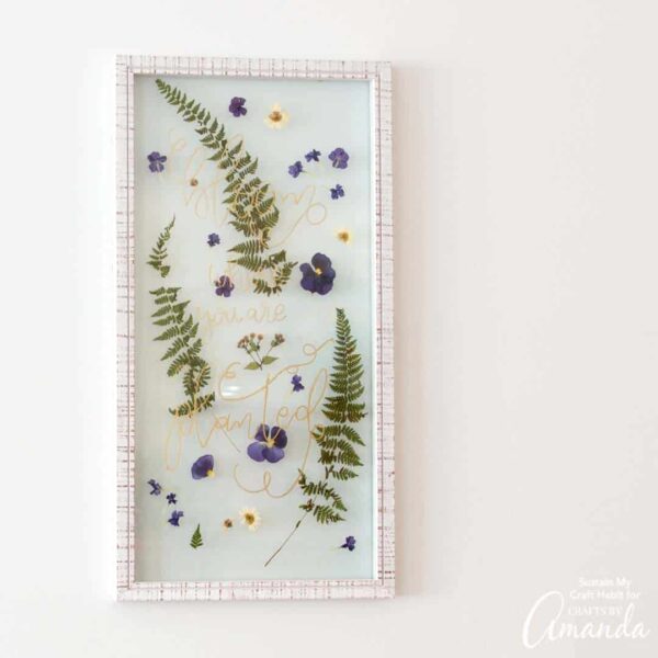 Pressed Flower Art how to press flowers Crafts by Amanda
