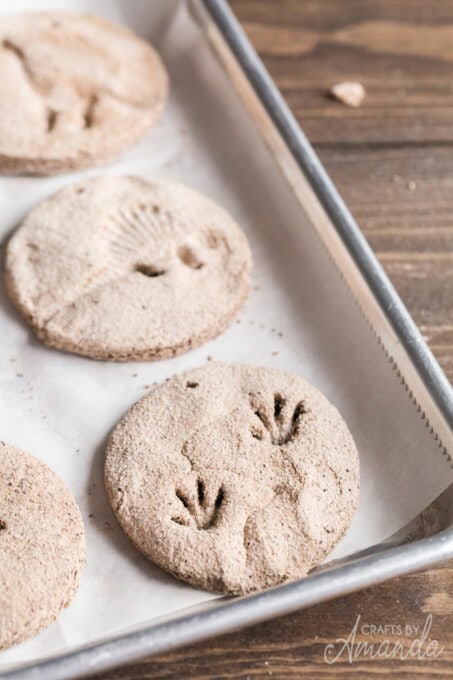 Coffee Ground Fossils - salt dough tutorial - Crafts by Amanda