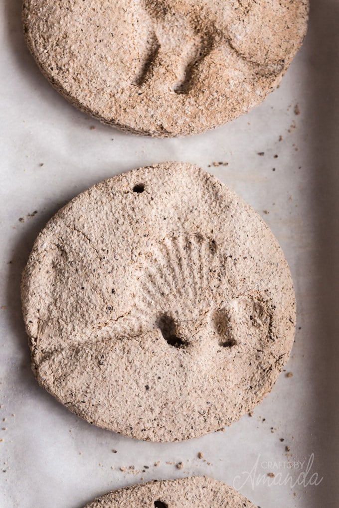 dinosaur shape in coffee ground salt dough