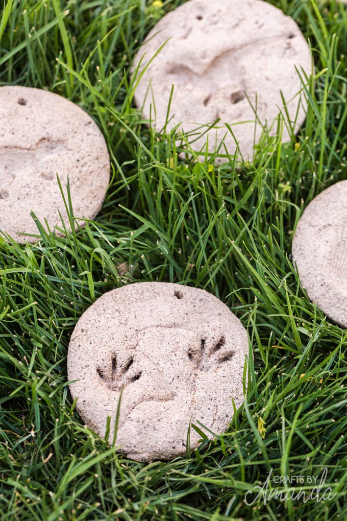 salt dough fossils in the grass
