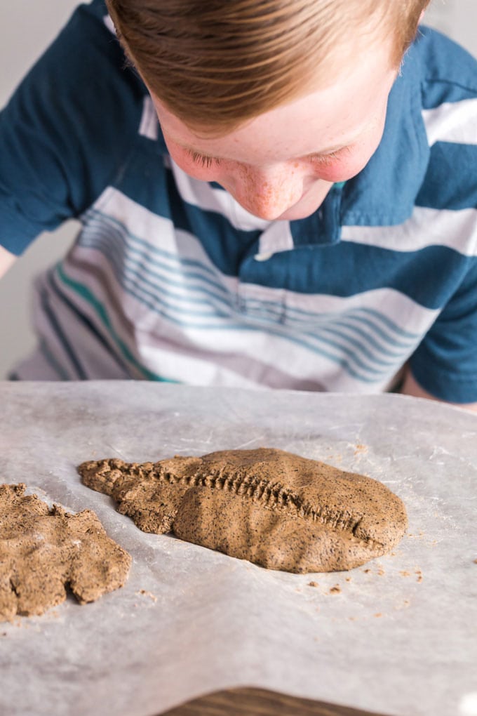 child looking at homemade fossil