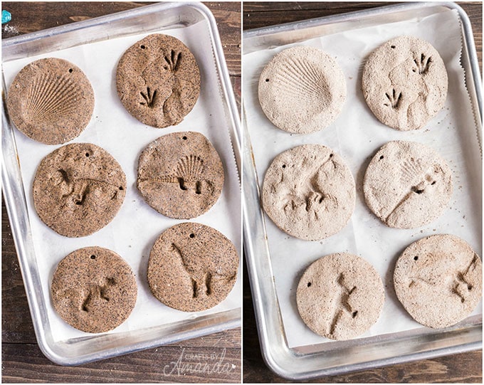 two photos side by side of coffee ground fossils before and after drying