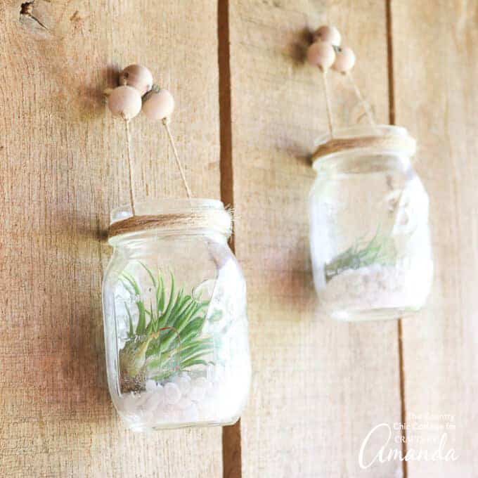 mason jars hanging on the wall with air plants