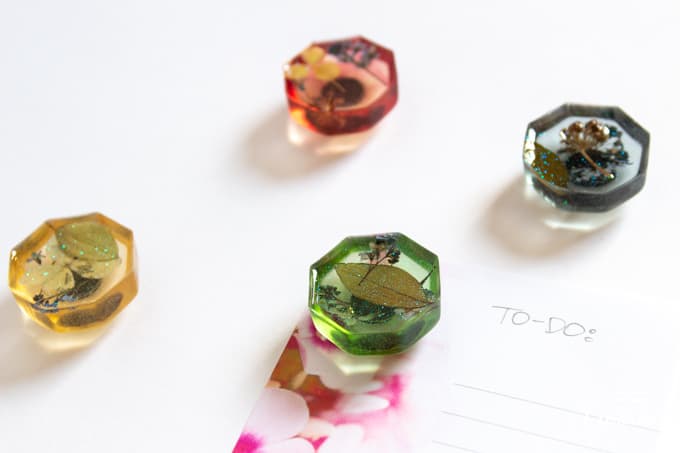 green, red, blue, and yellow pressed flower magnets