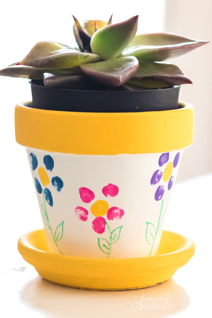 fingerprint flower pot with a succulent in it